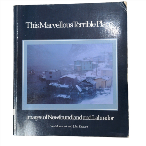 Other - This Marvellous Terrible Place Book